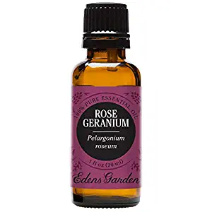 Edens Garden Rose Geranium Essential Oil, 100% Pure Therapeutic Grade (Highest Quality Aromatherapy Oils- Skin Care & Stress), 30 ml