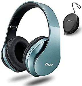 Bluetooth Headphones Wireless,Over Ear Headset with 20Hr Play Time, Foldable & Lightweight, Support Tf Card MP3 Mode and Fm Radio for Cellphones Laptop (Tin)