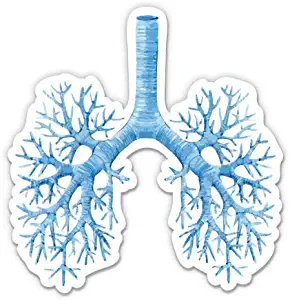 GT Graphics Express Lungs Watercolor Anatomy - 3